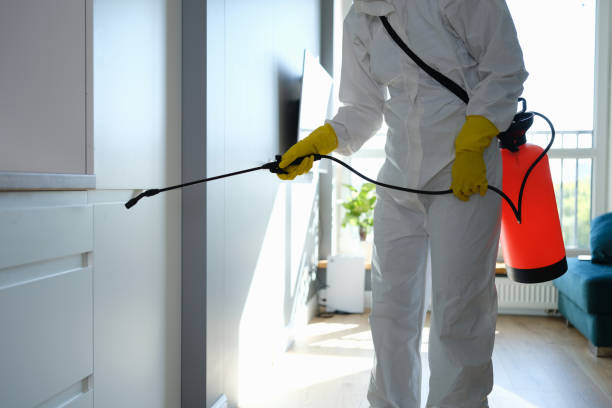 Best Crawl Space Mold Removal  in Jarales, NM