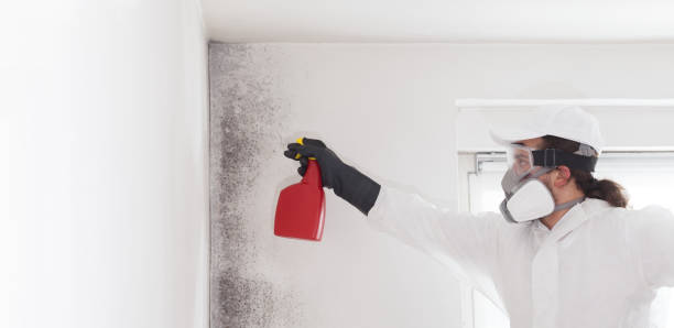 Best Commercial Mold Removal  in Jarales, NM